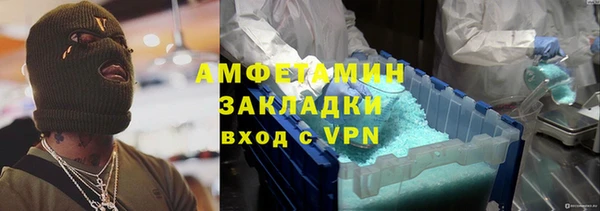 твердый Бородино