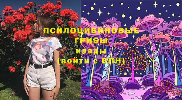 Альфа ПВП Верхнеуральск