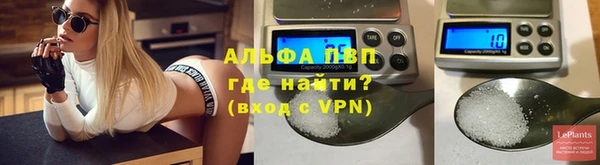 прущие грибы Бугульма
