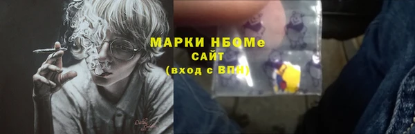 твердый Бородино