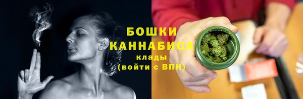 твердый Бородино