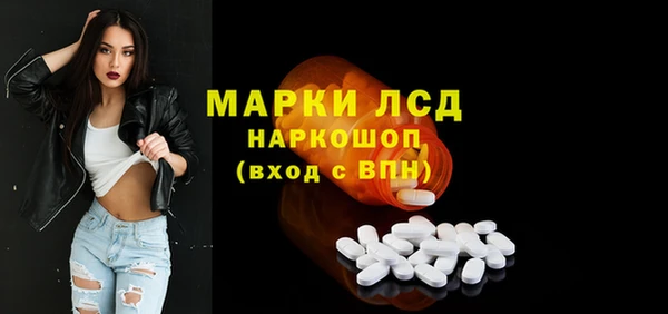 твердый Бородино