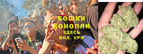 твердый Бородино