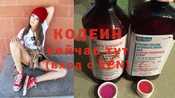 прущие грибы Бугульма