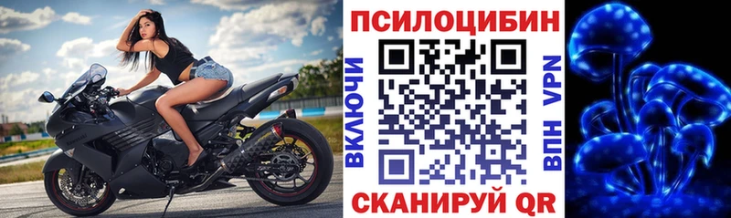 Галлюциногенные грибы Psilocybe  Купить закладки  Кологрив 